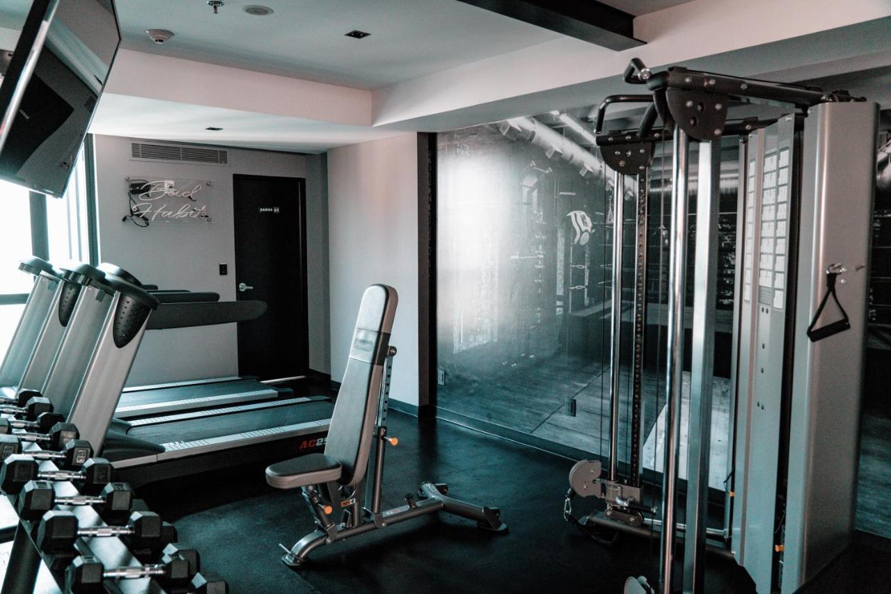 The Wild Oscar Hotel Mexico City Ngoại thất bức ảnh